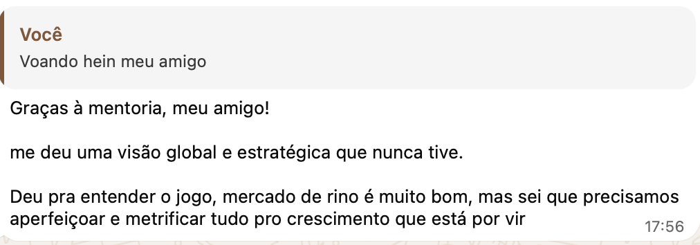 Depoimento sobre a visão global e estratégica adquirida com a mentoria